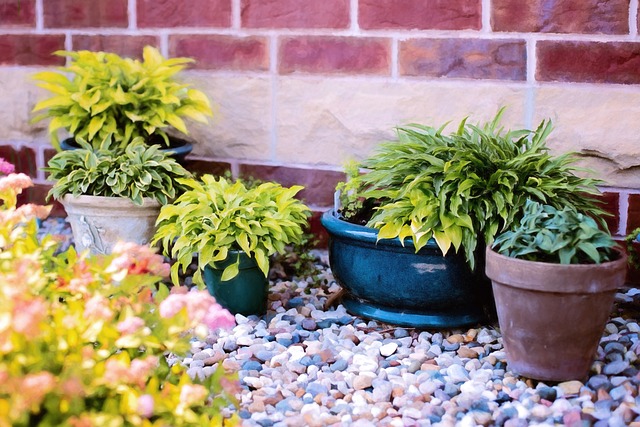 Grote bloempotten voor elke tuin: inspiratie en tips